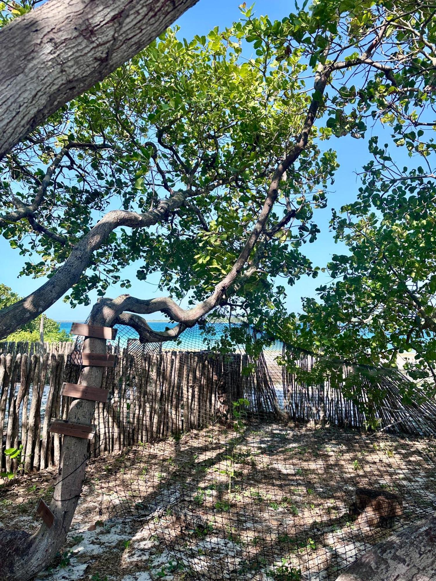 Villa Manay Lagoa Do Paraiso, Casa 2 Quartos Na Beira Da Lagoa Jijoca de Jericoacoara Exterior foto